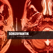 Schizofrantik - Cover Access Permitted