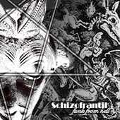Schizofrantik - Cover funk from hell